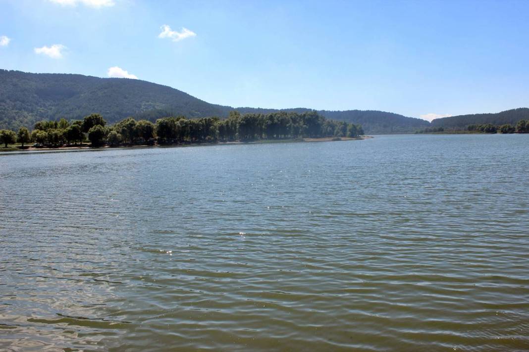 O kentte korkunç manzara: Maske ve eldivenle kamyonete yüklediler! Mahalleli endişeli: Daha önce böyle bir şey yaşamadık 6